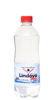 gua Mineral Lindya Com Gs 500ml