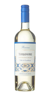 Vinho Terranoble Reserva Sauvignon Blanc 750ml