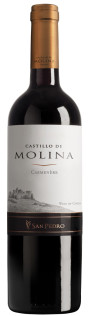 Vinho Castillo de Molina Carmenere 750 ml