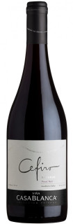 Vinho Cefiro Via Casablanca Pinot Noir 750 ml