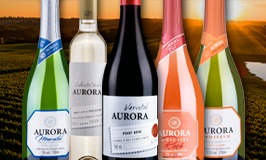 Do cultivo à taça - Vinícola Aurora