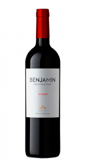 Vinho Benjamin Nieto Syrah 750ml