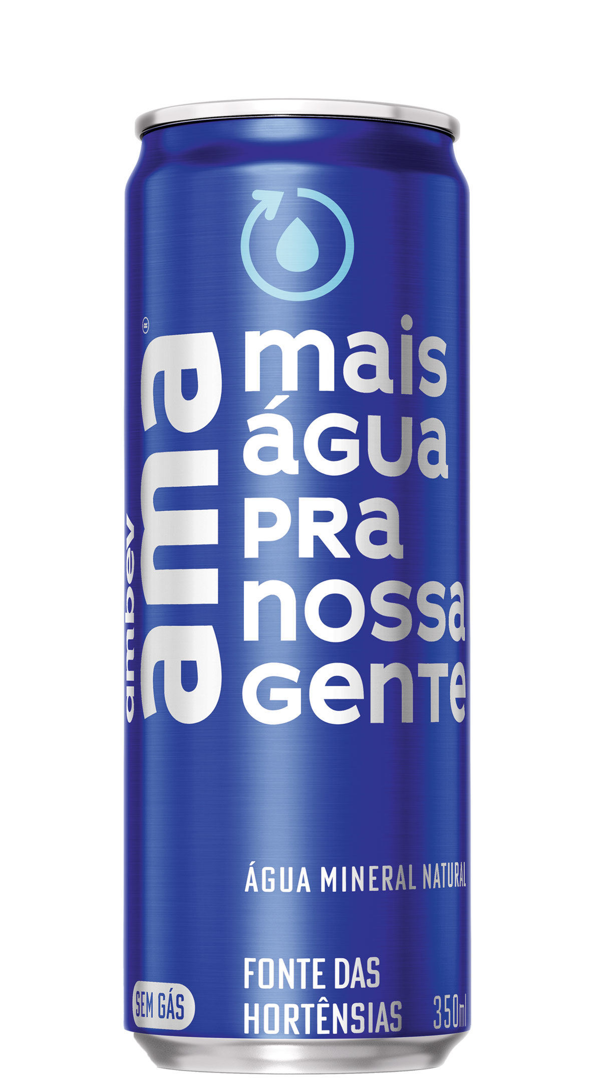 Xeque Mate Lata 300ML