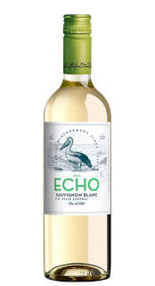 Vinho Andes Echo Sauvignon Blanc 750ml