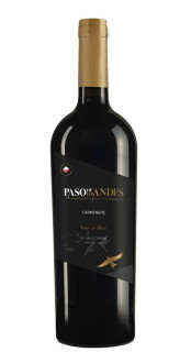 Vinho Paso de Los Andes Carmenere 750ml