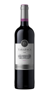 Vinho Len de Tarapac Syrah Tinto 750ml