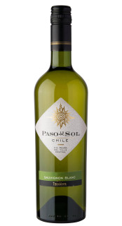 Vinho Paso Del Sol Sauvignon Blanc 750ml