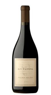 Vinho D.V. Catena Tinto Pinot Noir Pinot Noir 750ml