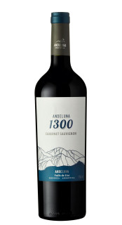 Vinho Andeluna 1300 Cabernet Sauvignon 750ml
